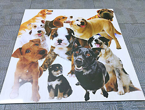 廣告行業(yè)應(yīng)用方案 廣告行業(yè)應(yīng)用方案