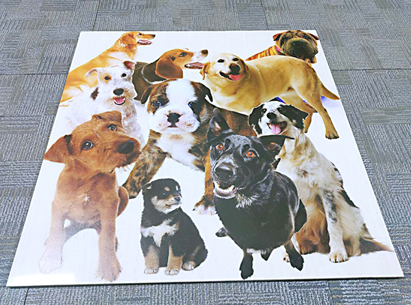 盛煌科UV平板打印機(jī) 盛煌科UV平板打印機(jī)